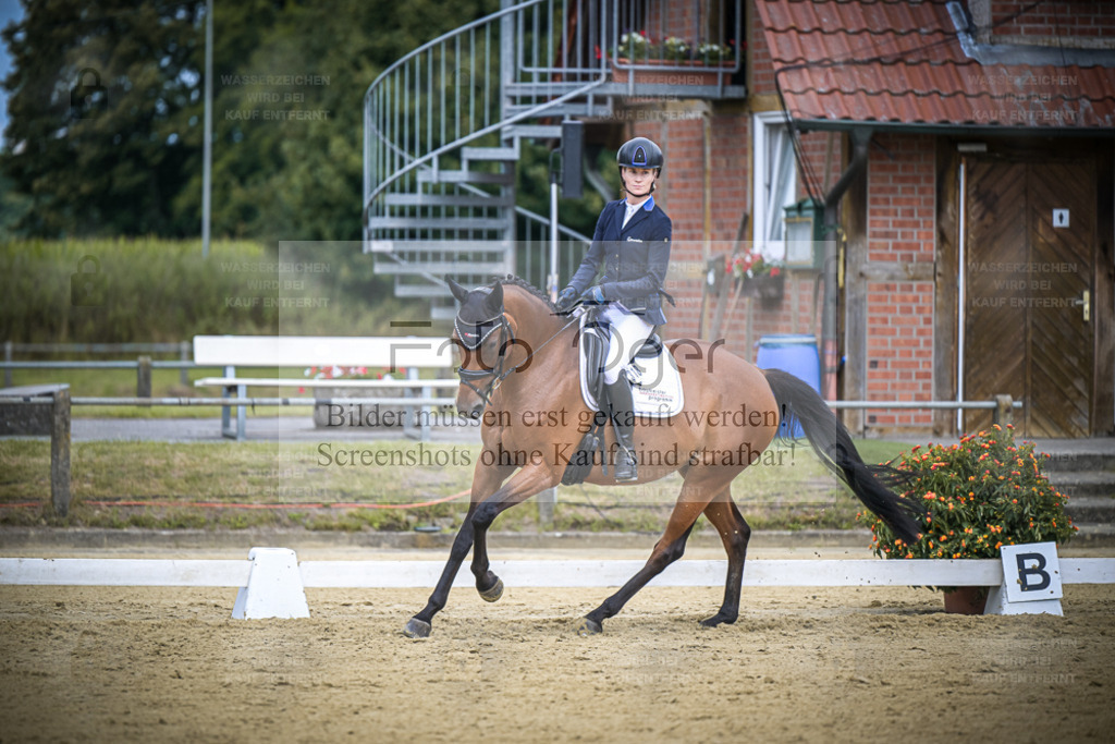 DOS_1992 | Entdecke hochwertige Reitturnierfotos von Foto Oger. Professionell, emotional und authentisch – jetzt Lieblingsmomente im Shop bestellen. - Realisiert mit Pictrs.com