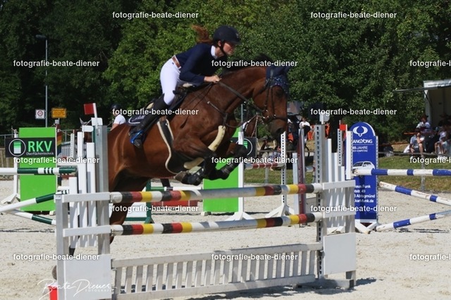 Zeit L (29) | Fotografie, Tiere, Hunde, Katzen, Pferde, Sportfotografie, Fotosession, Tierfotografie, Turnierfotografie, Fotografin, Fotograf - Realisiert mit Pictrs.com