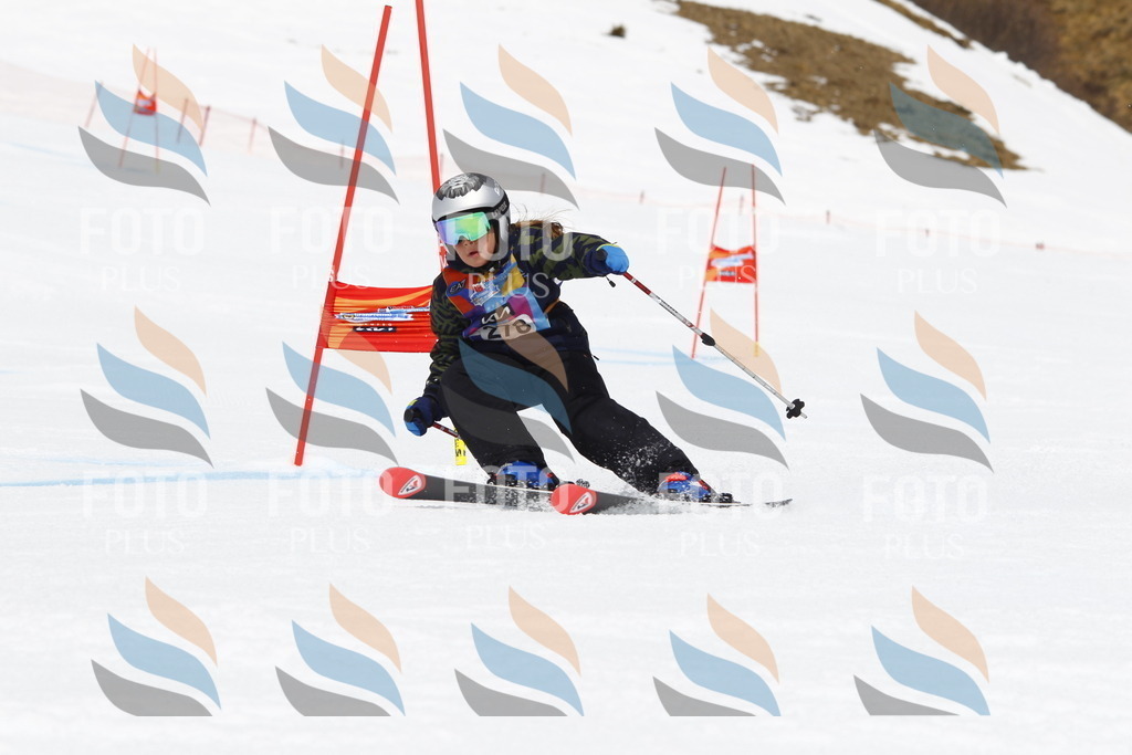 _U3G6977 | holidayphoto