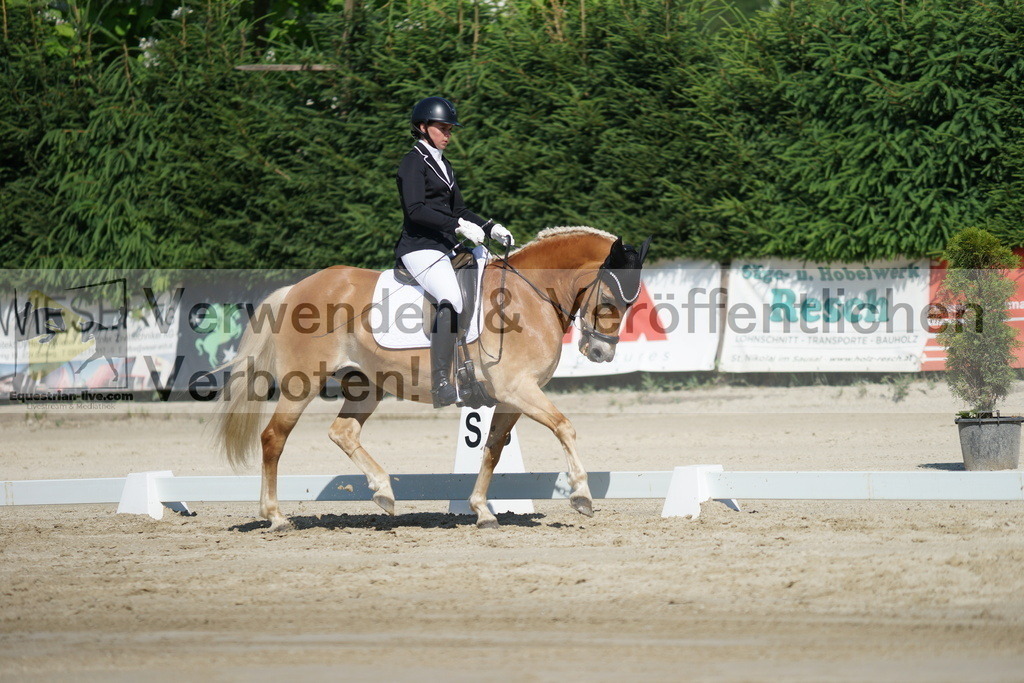 DSC02996 | equestrian-live-com