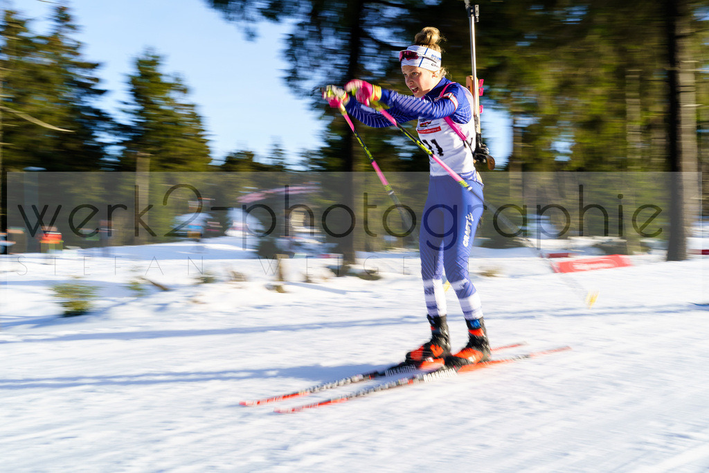 DP Oberwiesenthal | Alpencup/DP Deutschlandpokal in Oberwiesenthal am 15.-17.12.2023