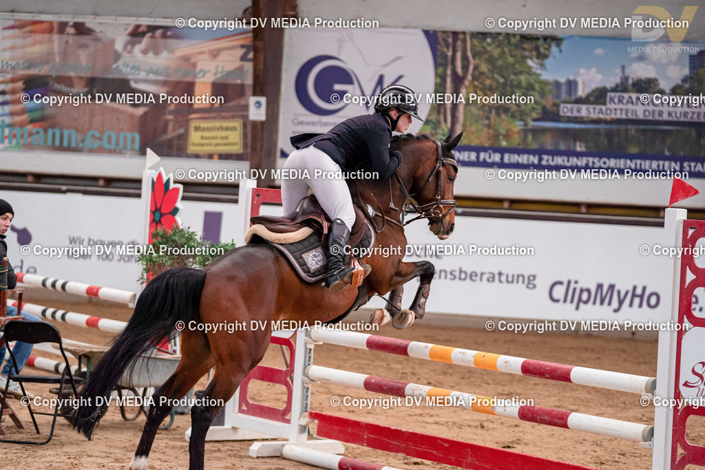 Kranichstein II Tag 1-184 | dv-media-shop - Realisiert mit Pictrs.com