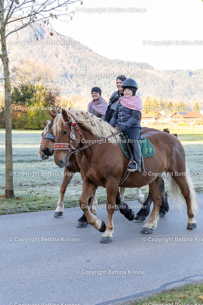 LL24-91 | foto-bettina-krinner - Realisiert mit Pictrs.com