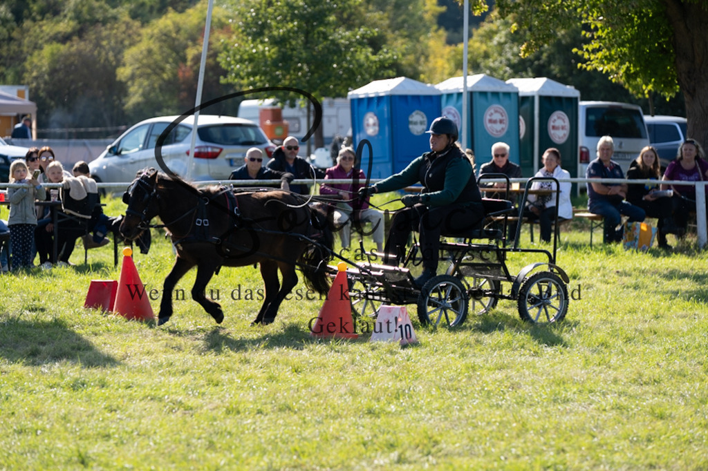 A7V04474 | Pferdefotograf