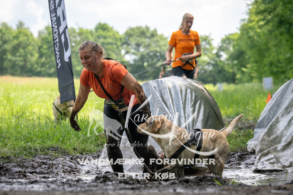 1211_ZZ91639 | kk-dogfotos