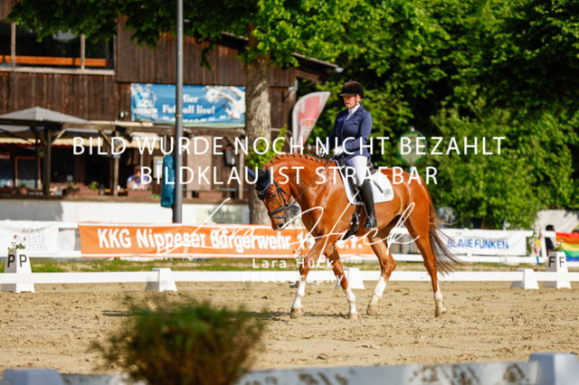 _62_2364 | larahueckfotografie