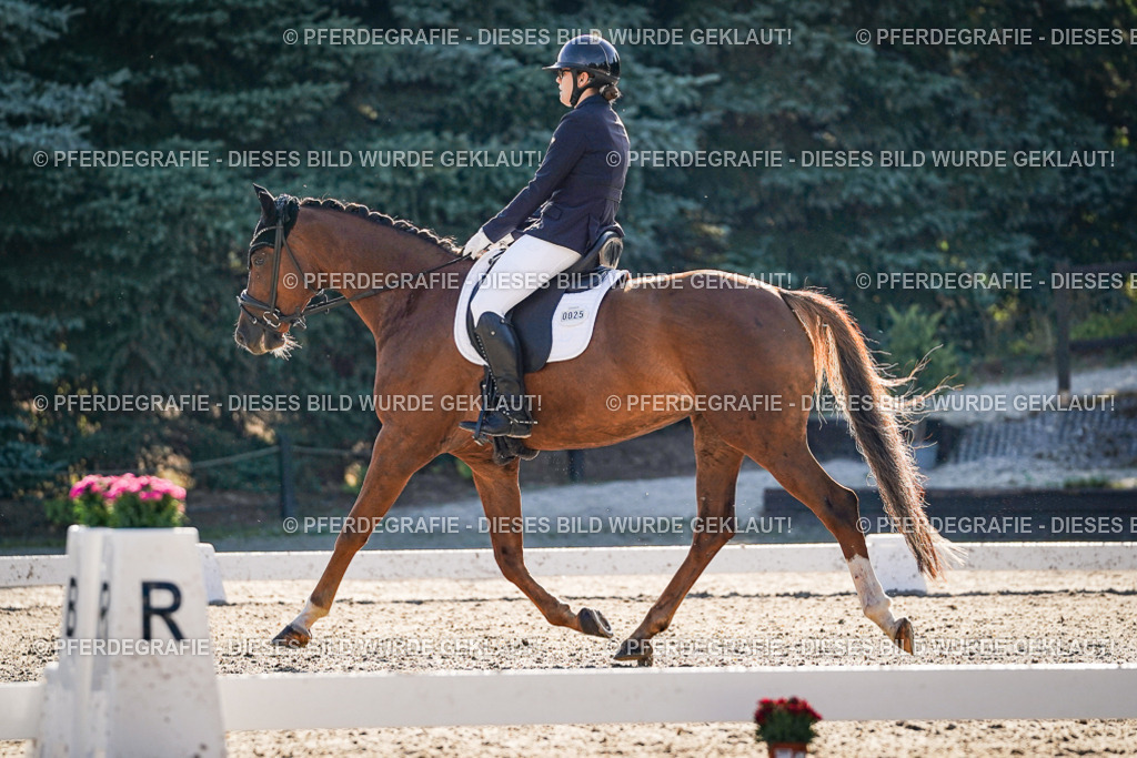 DSC08688 | Pferdegrafie