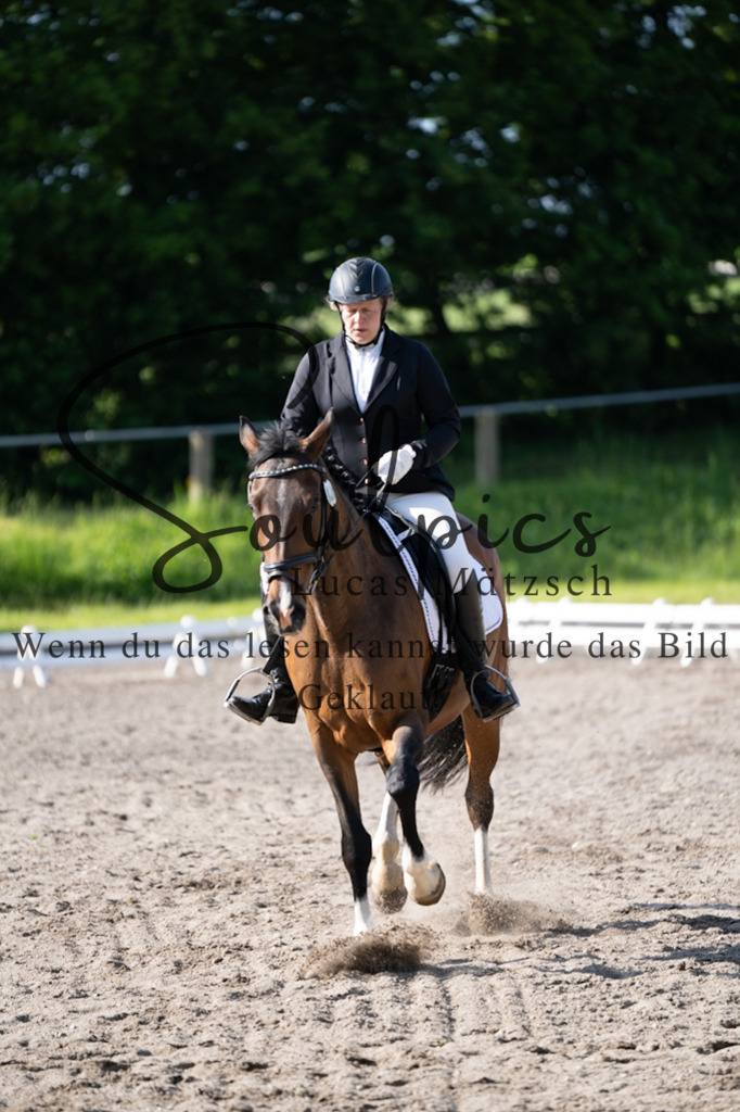 A7V02344 | Pferdefotograf