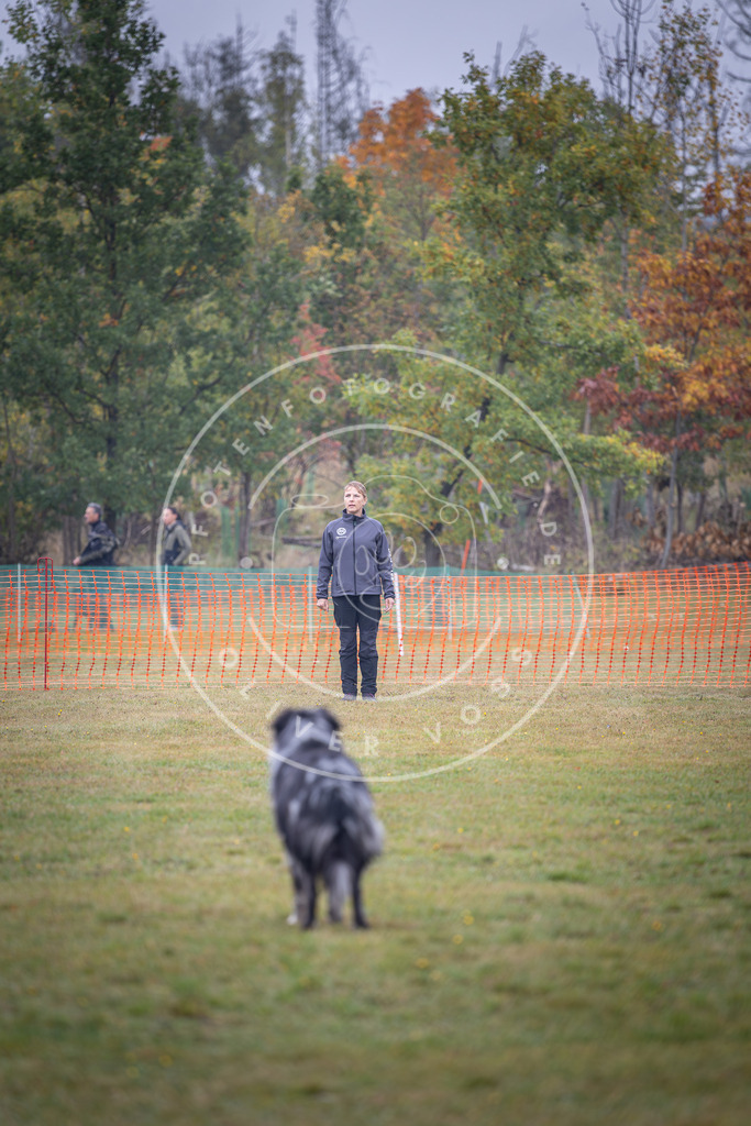 Pfotenfotografie_DV3A9433 | Hundefotografie, Tierfotograf, Pfotenfotografie, Fotoshooting Hund, Hunde Portrait, Hundesport, Hundeportraits, Heideshooting, Hunde, Sportfotograf, Hundefotograf, Turnierhundsport, THS,  - Realisiert mit Pictrs.com