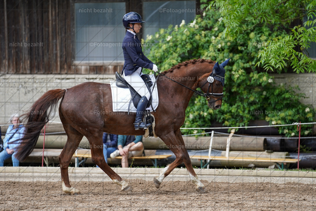 20240519-FAH04946 | Turnierbilder Niederseeon 2024, Vielseitigkeitsdressur, Reitsportbilder aus dem Landkreit Ebersberg, Gut Steinsee, RC Steinsee, Fotoagentur Herrmann