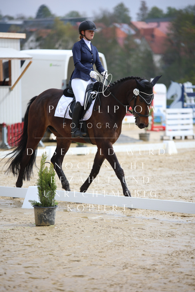 IMGT3092 | pl-fotografie