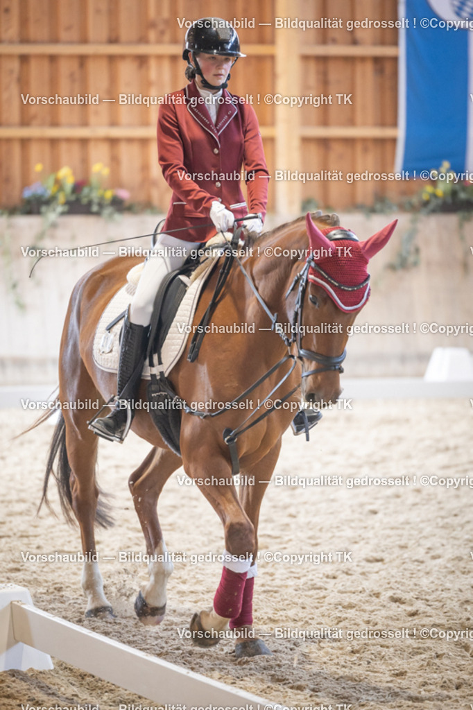 _D5A5510 | Emotionale Pferde- & People-Fotografie rund um Heidelberg, Leimen & Umgebung. Natürliche Fotos von Pferd, Mensch & Familie. Jetzt Termin sichern!