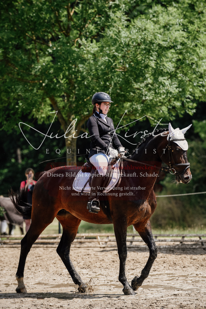 DSC_1035 | Pferde- und Turnierfotografie in Westsachsen. Pferdeportraits, Auftragszeichnungen und intuitive Kunst.