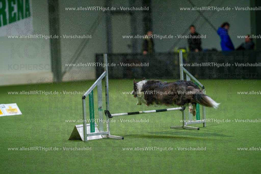 7R500277 | Professionelle Tierfotografie in Mönchengladbach von Daniel Wirth (allesWIRTHgut). Liebevolle & natürliche Bilder von Hunden & Katzen für unvergessliche Erinnerungen.