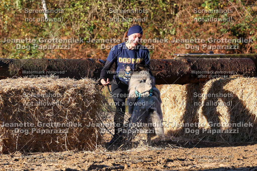 Dog Paparazzi - Strongdog 10-25-1084 | Dog Paparazzi Jeanette Grottendiek Fotografie & Videografie - Realisiert mit Pictrs.com