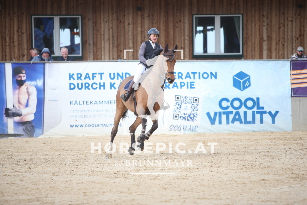 AS8V8536 | Willkommen bei Brunnmayr - Design & Fotografie – Ihrem Spezialisten für Reitturniere und Pferdeveranstaltungen in Oberösterreich, Salzburg und Bayern! Seit über 17 Jahren sind wir leidenschaftlich dabei.