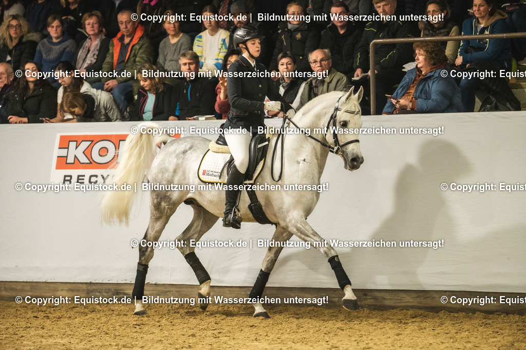 20240302_Hengstvorstellung_Marbach_TOMsPiC_1027 | equistock