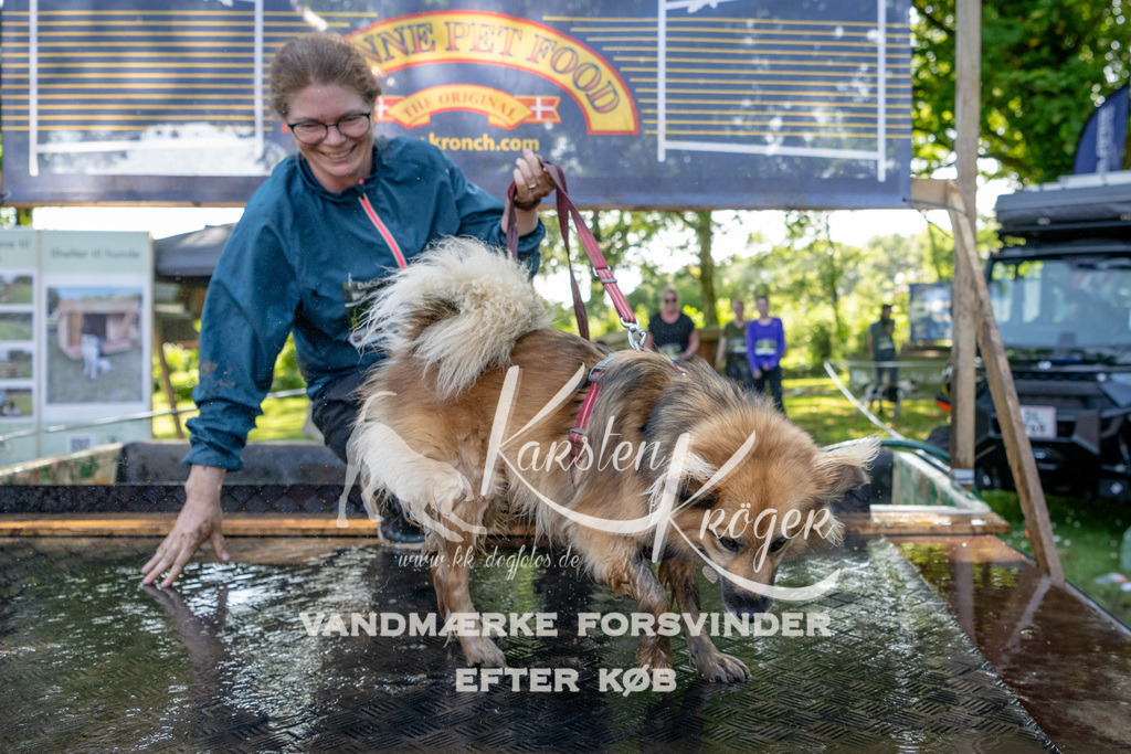 1540_ZZ92740 | kk-dogfotos