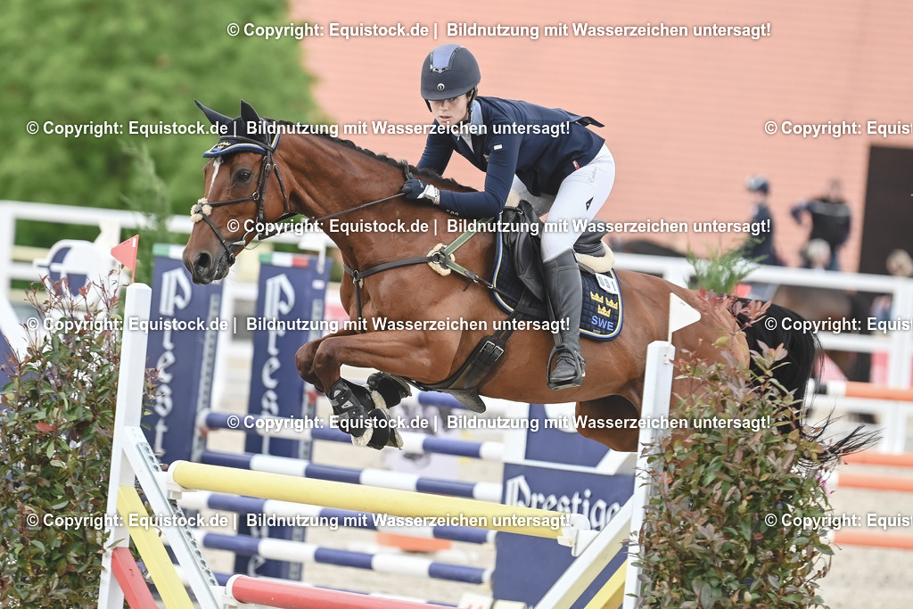 20230514_CCI4_Springen_0231 | equistock