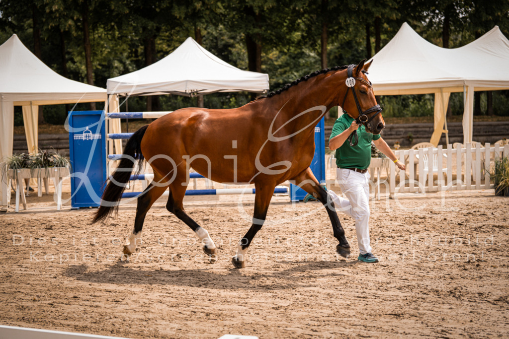 3.Fr00028 | Leoni Ertmer Photography - Realisiert mit Pictrs.com