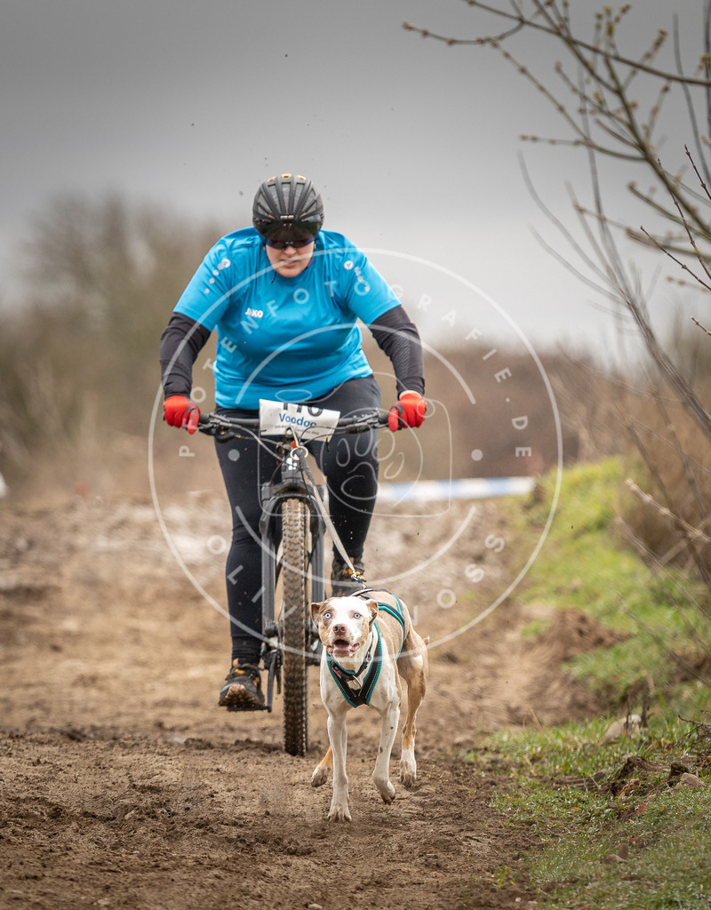 DV3A0678 | Hundefotografie, Tierfotograf, Pfotenfotografie, Fotoshooting Hund, Hunde Portrait, Hundesport, Hundeportraits, Heideshooting, Hunde, Sportfotograf, Hundefotograf, Turnierhundsport, THS,  - Realisiert mit Pictrs.com