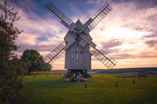 Bockwindmühle auf grüner Wiese bei Sonnenaufgang | Bockwindmühle auf grüner Wiese bei Sonnenaufgang, umgeben von friedlicher Natur