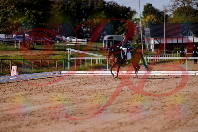 2026_10_03_Siefer-Hof_114908_Z81_88470989 | Professionelle Reitsport-, Turnier- und Eventfotografie von Robert Broda. Galerien mit ausgewählten und bearbeiteten Bildern direkt online ansehen und bestellen.