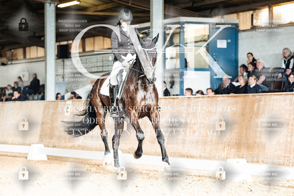 CK902875 | Turnierfotografie Pferdefotografie Trier Rheinland-Pfalz Pferdesport Reitsport Tierfotografie Sportfotografie Pferdevideo Pferdevideografie Equestrianvideography equestrianphotography  - Realisiert mit Pictrs.com