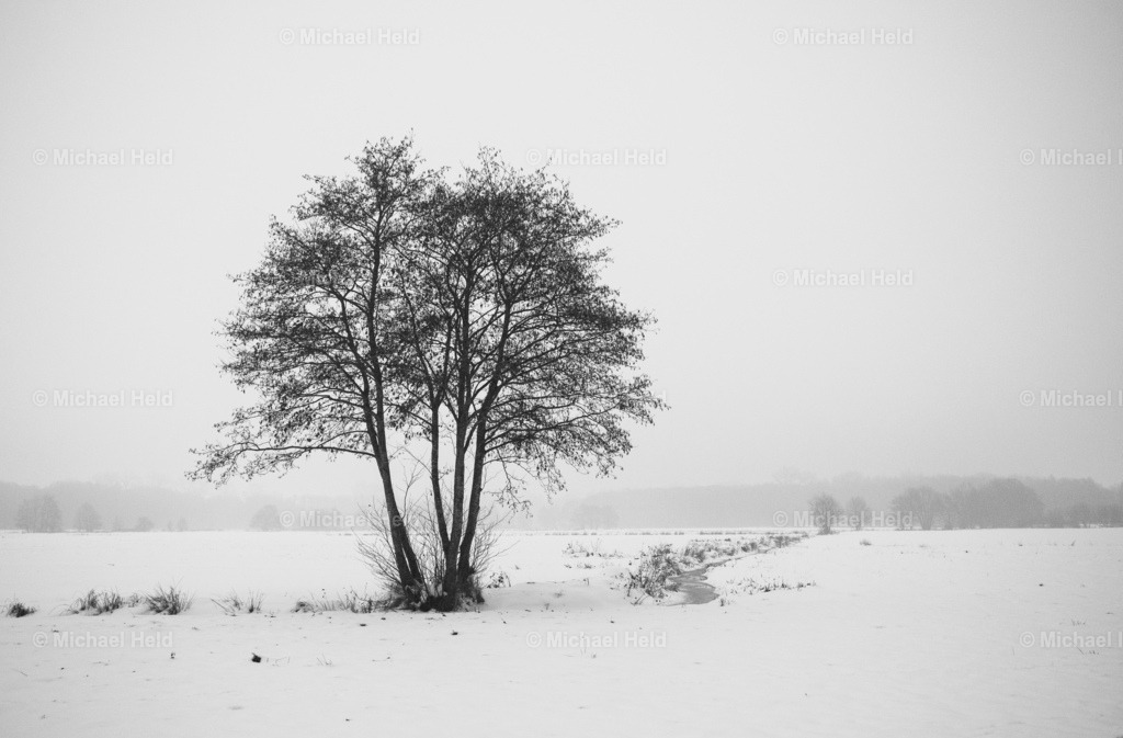 Winter in Schleswig-Holstein | Profi-Fotos über Schleswig-Holstein und dem ganzen Norden für Büro, Hotel, Ferienhaus, Ferienwohnung, Wohnzimmer, Arztpraxis uvm. jetzt bestellen. - Realisiert mit Pictrs.com