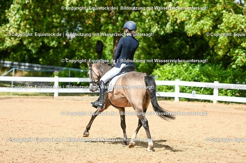 20230716_01_Dressurprüfung Kl.M_0207 | equistock