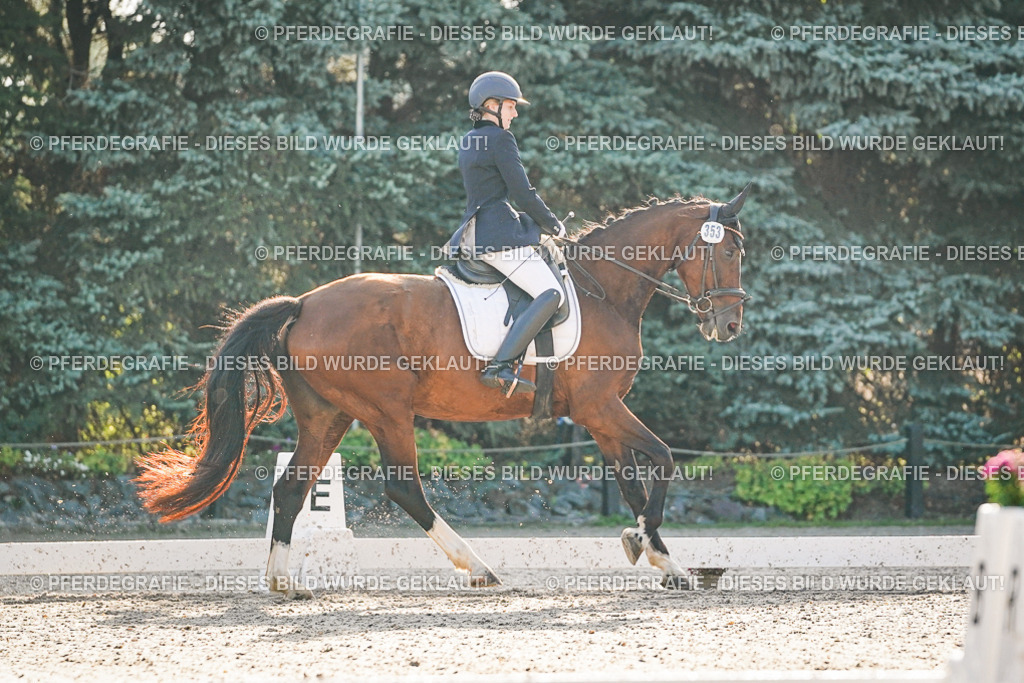 DSC07927 | Pferdegrafie