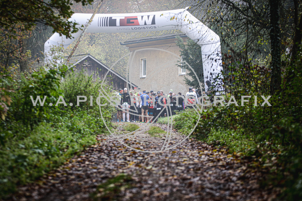 ..... | AUSTRIA, 09.11.24, Leonding,TGW KÜRNBERGTRAILRUN, Image shows: Photo: Wapics / Andreas Willdoner