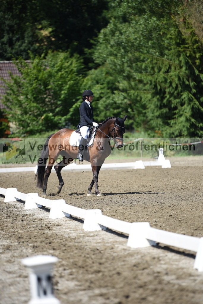 DSC_0101 | equestrian-live-com