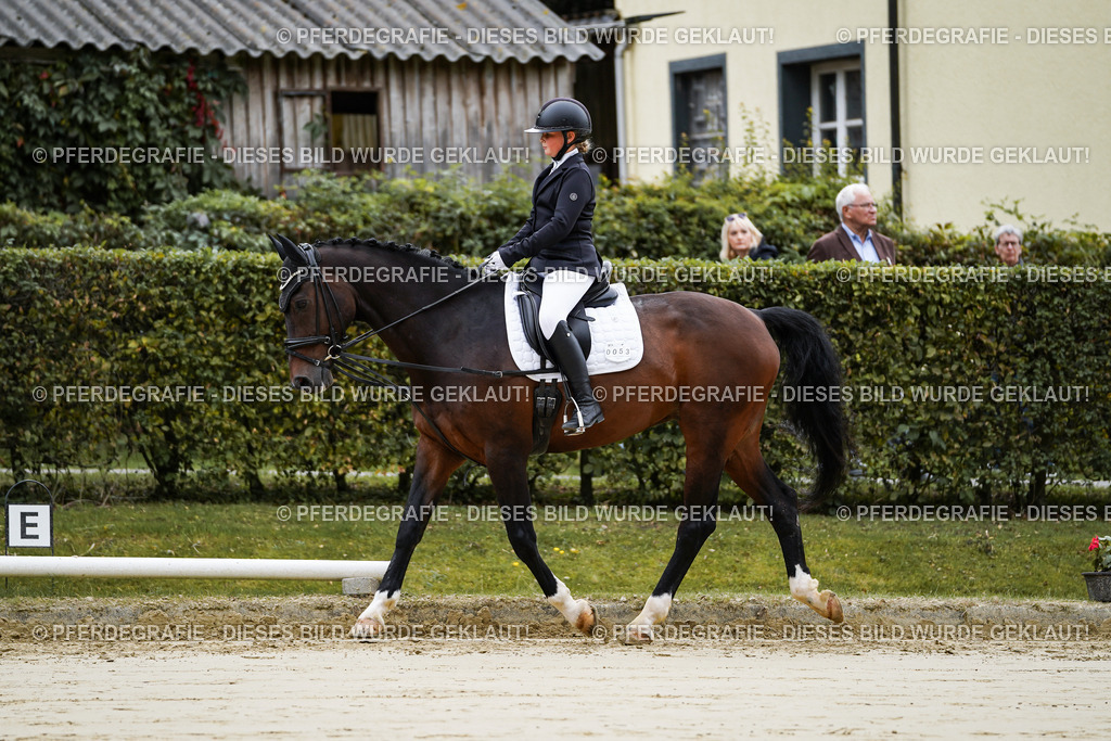 DSC04349 | Pferdegrafie