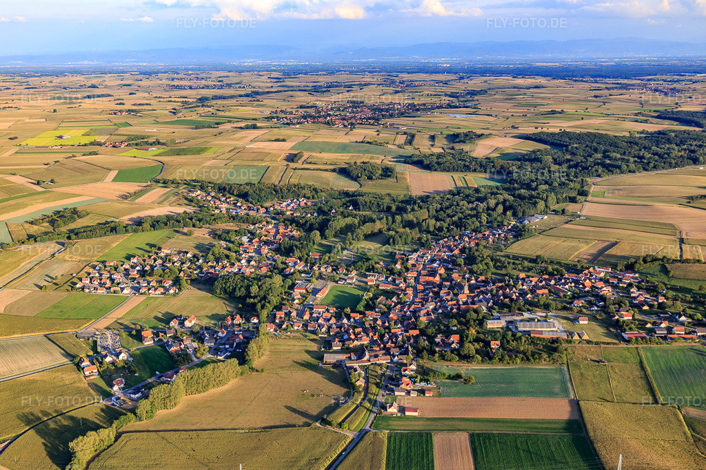 Luftbild: Ortsansicht von Norden in Riedseltz im Bundesland Bas-Rhin in Frankreich. – Foto: IMG_117441.jpg vom 06.09.2019 durch Werner Riehm/FLY-FOTO.de – Auflösung des Originals: 5273 x 3515 px