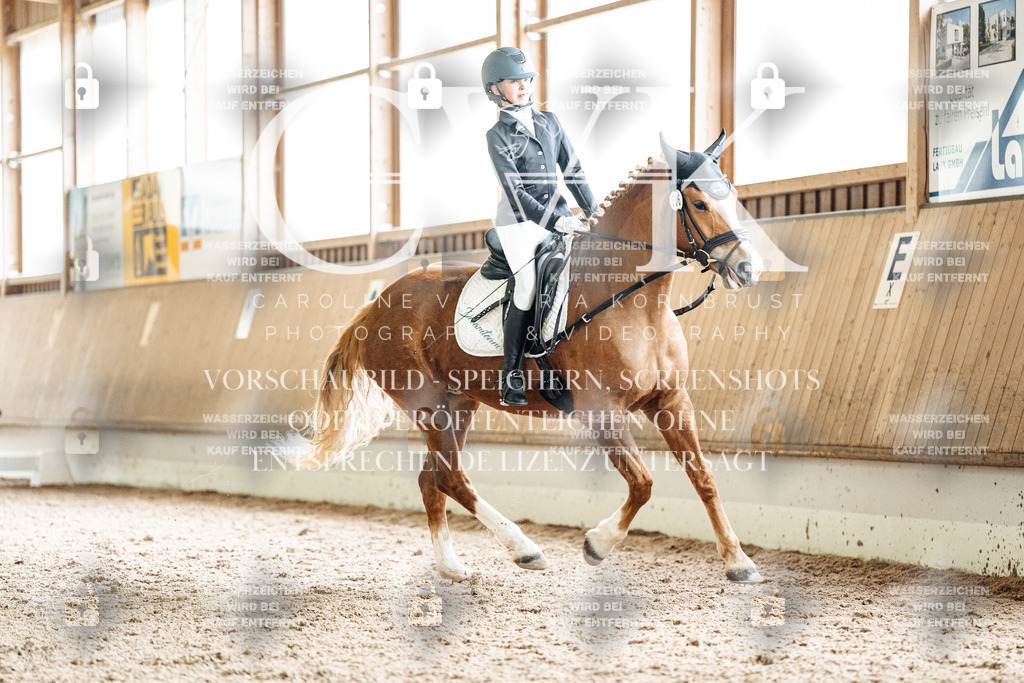 CK900839 | Turnierfotografie Pferdefotografie Trier Rheinland-Pfalz Pferdesport Reitsport Tierfotografie Sportfotografie Pferdevideo Pferdevideografie Equestrianvideography equestrianphotography  - Realisiert mit Pictrs.com