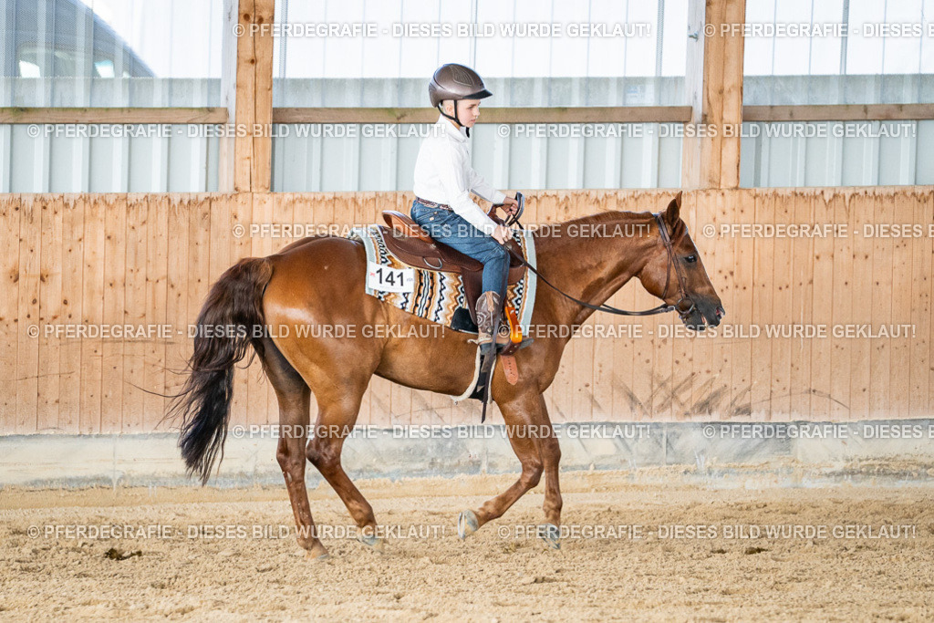 DSC09053 | Pferdegrafie