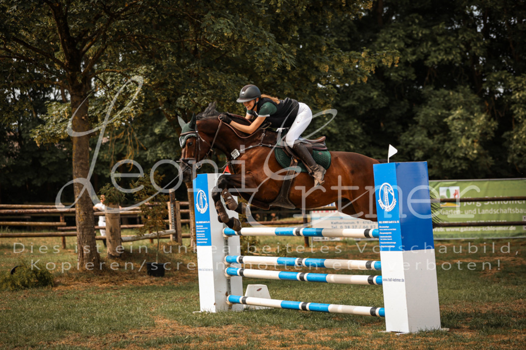 25.SaSpL00237 | Leoni Ertmer Photography - Realisiert mit Pictrs.com