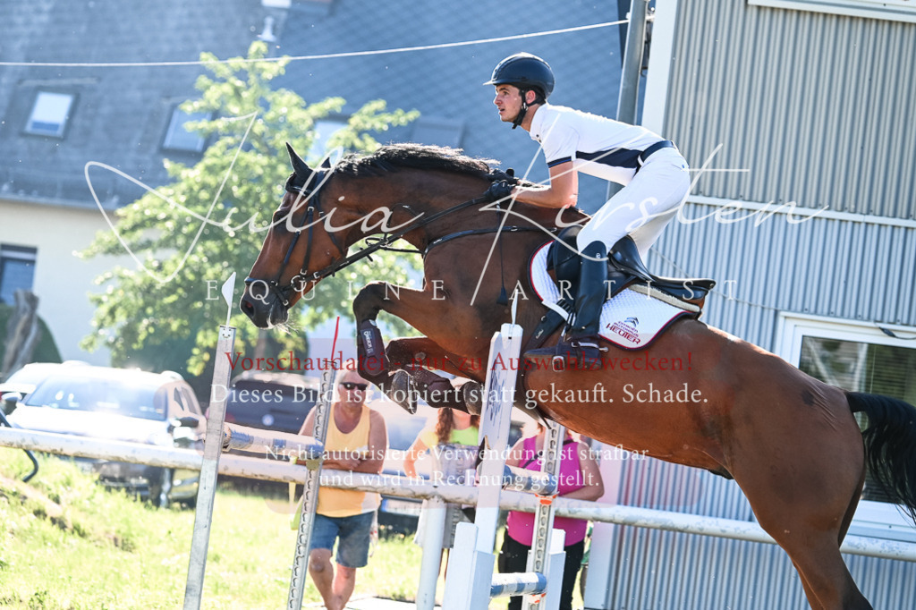 DSC_2679 | Pferde- und Turnierfotografie in Westsachsen. Pferdeportraits, Auftragszeichnungen und intuitive Kunst.