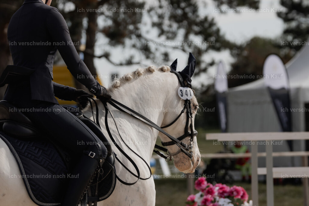 WE_ST_Stoib_341_PI2025_891 | Pferd International München 2025