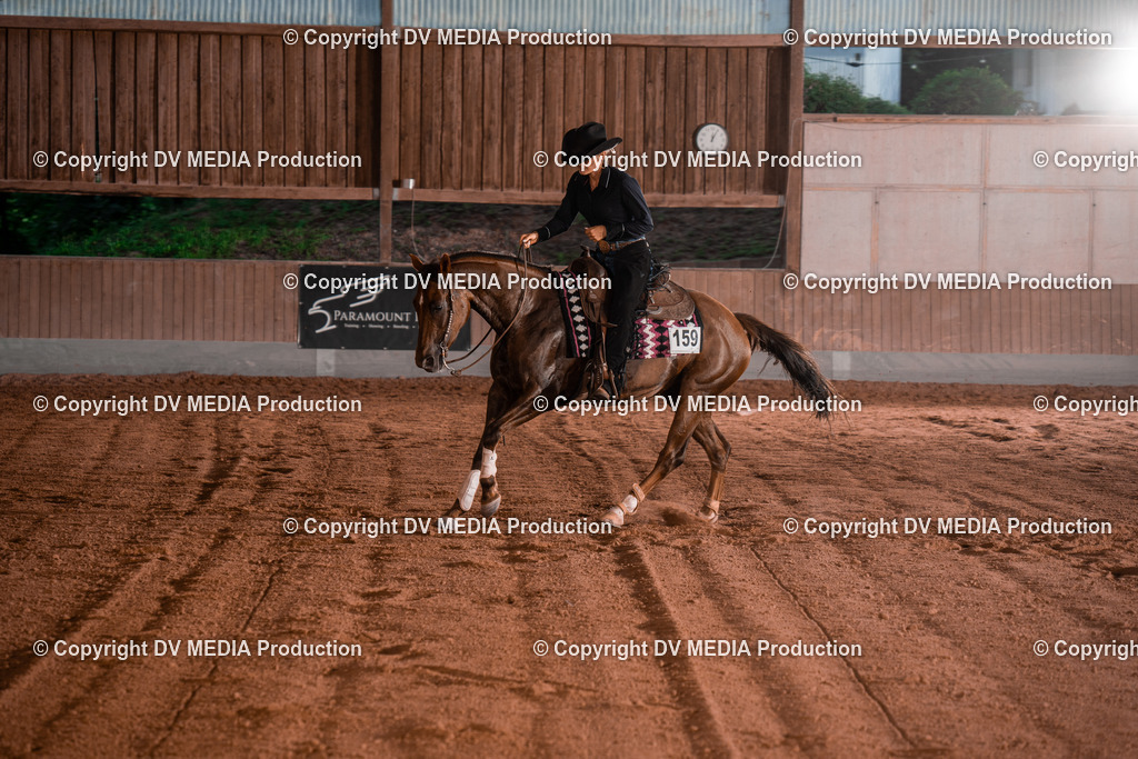 NE201431 | dv-media-shop - Realisiert mit Pictrs.com