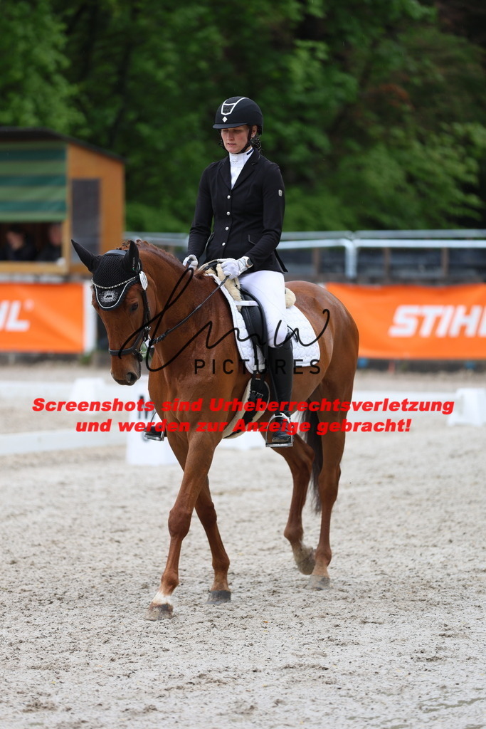 A40A9627 | lmwpictures - Realisiert mit Pictrs.com