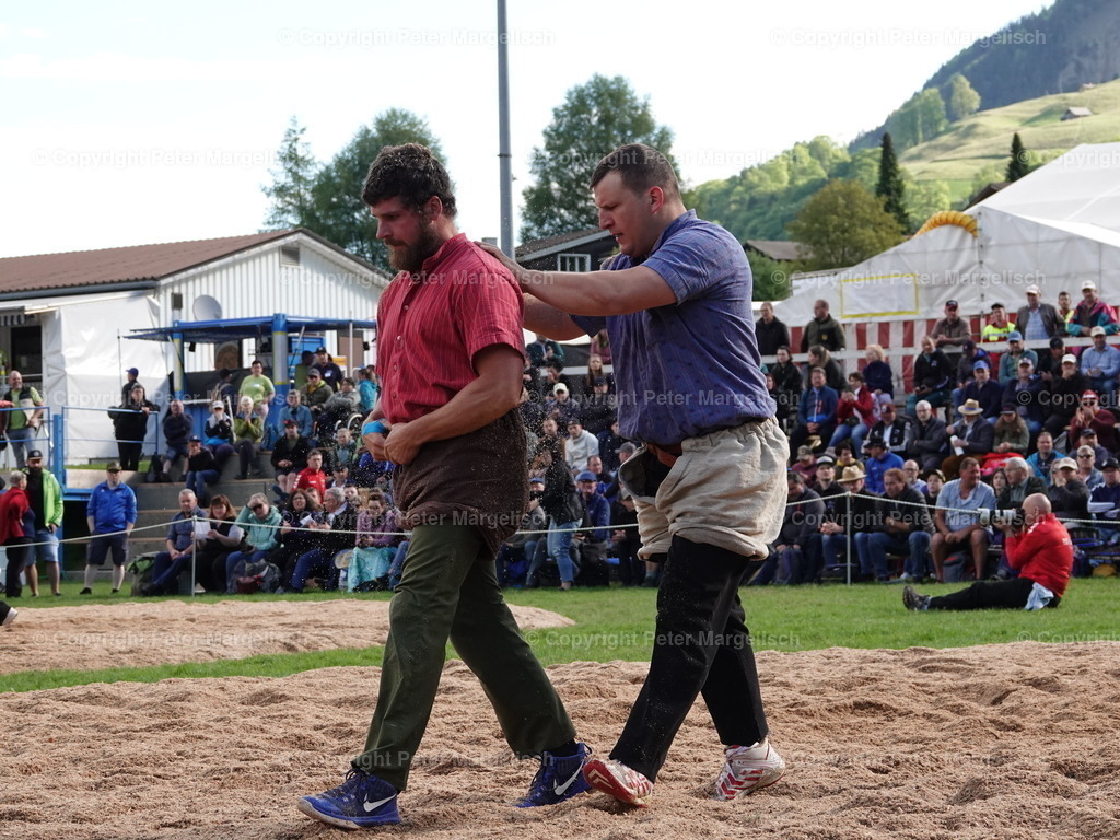 DSC07081 | Schwingen - Realisiert mit Pictrs.com