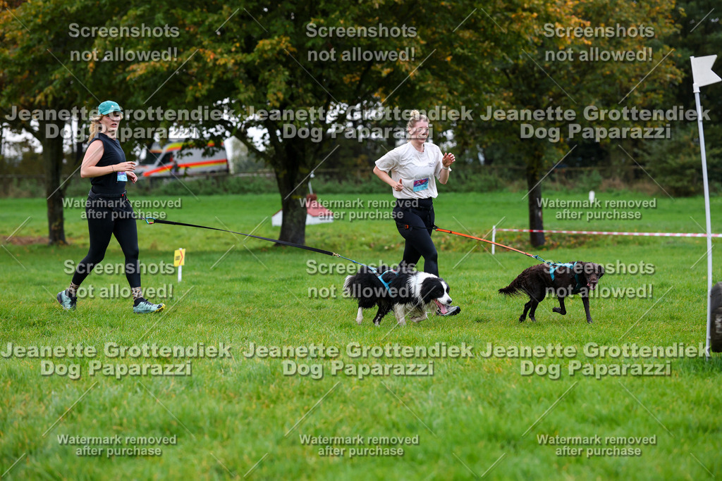 Dog Paparazzi -  SD1026-1302 | Dog Paparazzi Jeanette Grottendiek Fotografie & Videografie - Realisiert mit Pictrs.com