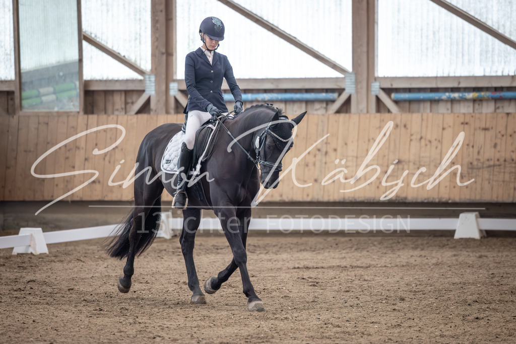 20251011-_3LI9487 | Tierfotografie Pferde, Hunde, Katzen, Haustiere.
Turnierfotografie Reitturniere, Reiten, Springreiten, Dressur in Hanau, dem Main-Kinzig-Kreis und dem Rhein-Main- Gebiet um Frankfurt