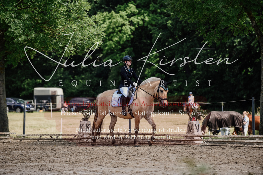 DSC_1644 | Pferde- und Turnierfotografie in Westsachsen. Pferdeportraits, Auftragszeichnungen und intuitive Kunst.