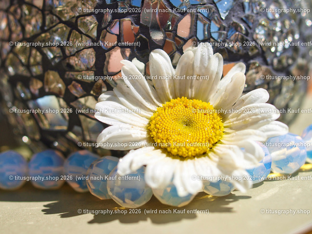 titusgraphy_P5218844-vz-ln | titusgraphy-shop: Geschenkideen mit Qualitätsfotos. titusgraphy-shop: gift ideas with quality photos. titusgraphy-shop: idées cadeaux avec photos de qualité.  - Realisiert mit Pictrs.com