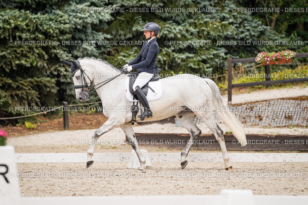 DSC07793 | Pferdegrafie