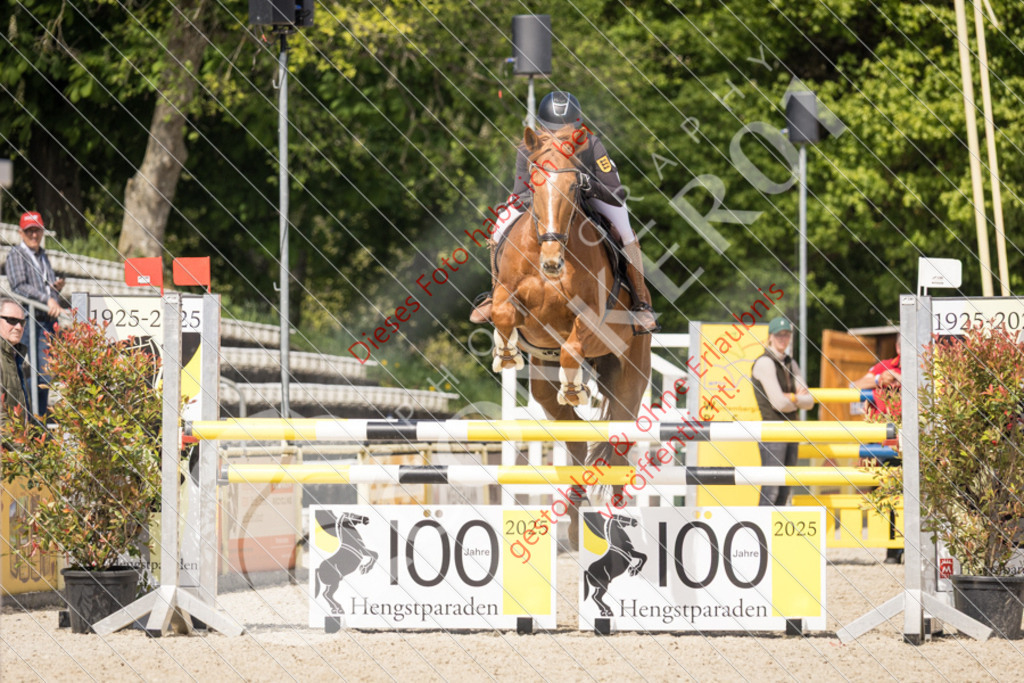 IMG_4516 | Sport-, Event- und Tierfotos in Profiqualität. Einfach auswählen, bestellen und herunterladen. Dein Moment – perfekt festgehalten.