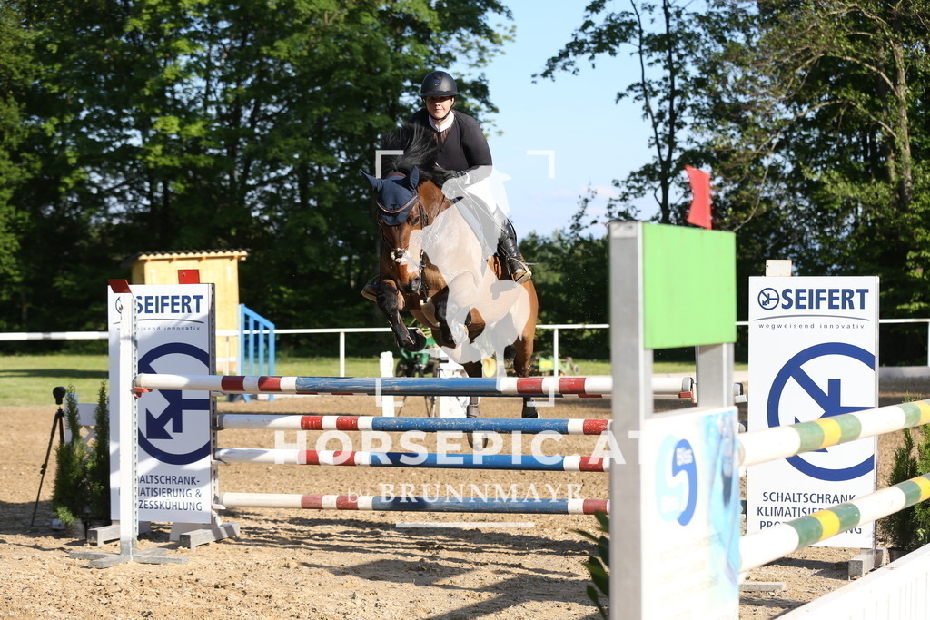 DL2Q2917 | Willkommen bei Brunnmayr - Design & Fotografie – Ihrem Spezialisten für Reitturniere und Pferdeveranstaltungen in Oberösterreich, Salzburg und Bayern! Seit über 17 Jahren sind wir leidenschaftlich dabei.